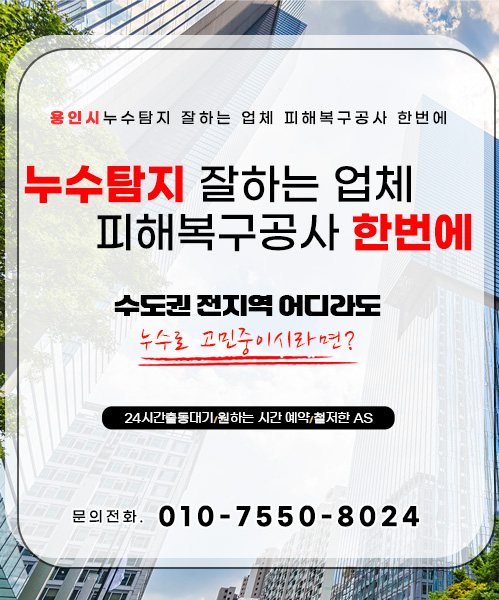 누수탐지 잘하는 업체 피해복구공사 한번에 모바일 비주얼 0